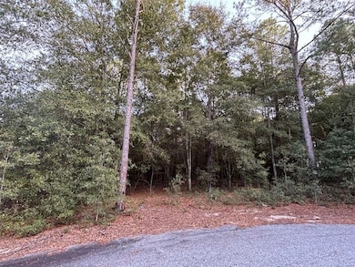 Lot 32 Marie Ln, Bainbridge, GA 39817 - photo 3