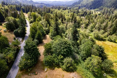 47031 286th Ave SE, Enumclaw, WA 98022 - photo 6