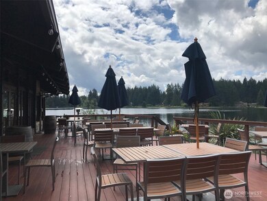 11205 110th St, Anderson Island, WA 98303 - photo 5