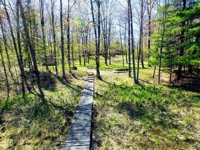 W14853 Hungry Lake Rd, Chetek, WI 54728 - photo 6