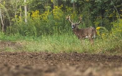 18618 Us Highway 43, Linden, AL 36748 - photo 5