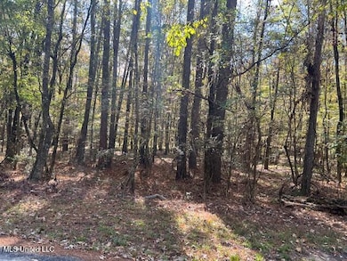 0 Pelahatchie Rd unit 4132538, Pelahatchie, MS 39145 - photo 7