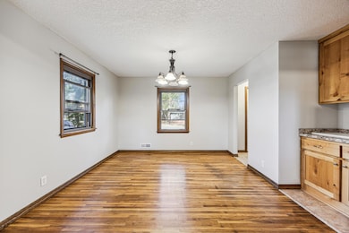 42 105th Ave NE, Minneapolis, MN 55434 - photo 6