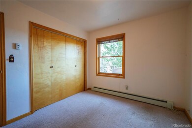 480 Witcher Ln, Fairplay, CO 80440 - photo 5