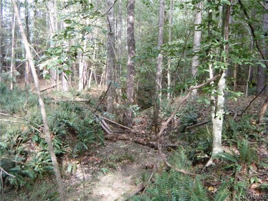 5757 Moore Creek Rd, Powhatan, VA 23139 - photo 3