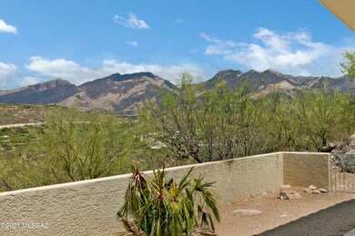 View from Back Yard