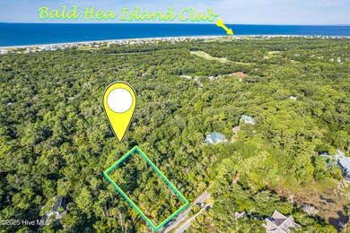 320 N Bald Head, Bald Head Island, NC 28461 - photo 4