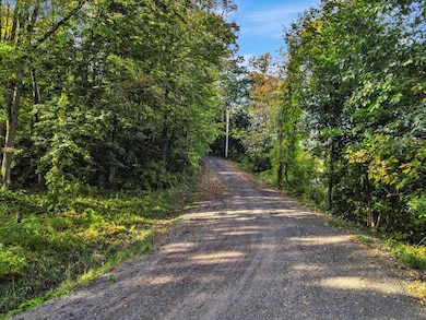 30_DJI_0950_DxO_mls