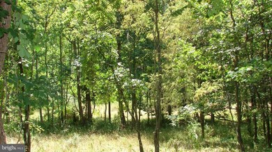 0 Rock Gap Rd unit 1004526460, Berkeley Springs, WV 25411 - photo 2