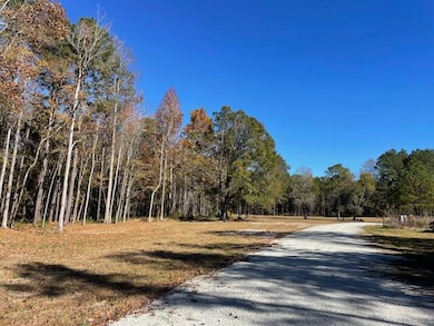 608 Bc Estates Ln, Cross, SC 29436 - photo 2