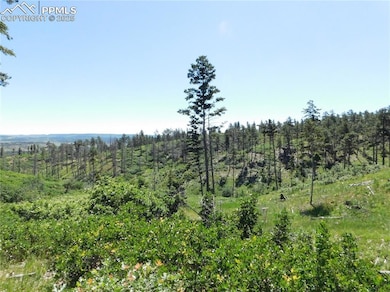 8249 Yuma Cir, Larkspur, CO 80118 - photo 3