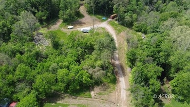 homesite clearing 2