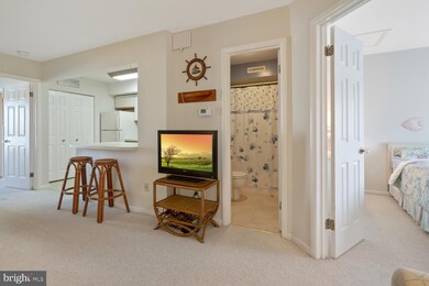14301 Tunnel Ave unit 3H, Ocean City, MD 21842 - photo 6