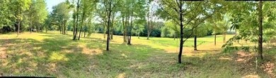 Bolin - 10 acres - panoramic 3a