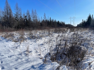 508 Cedar Valley Rd, Cedar Valley Township, MN 55736 - photo 4