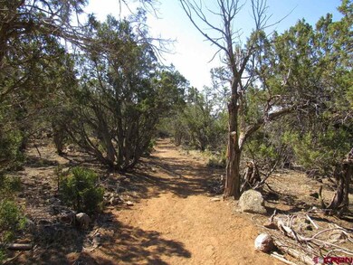 horse trail