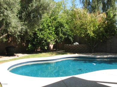 5322 W Geronimo St, Chandler, AZ 85226 - photo 6