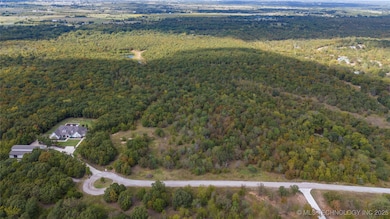 11447 Mary Knox Dr, Okmulgee, OK 74447 - photo 2