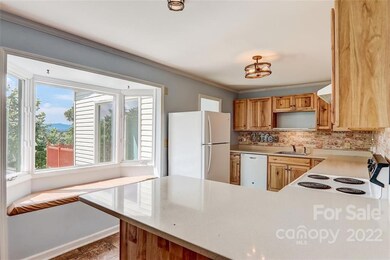 124 Dix Creek Chapel Rd, Asheville, NC 28806 - photo 2