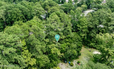 DJI_0919p