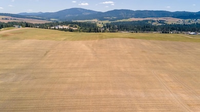 13507 E Gibbs Rd, Valleyford, WA 99023 - photo 3