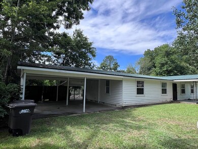 96 Plainview St, Newton, AL 36352 - photo 2