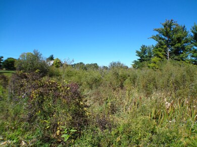 0 135th Ave, Hopkins Township, MI - photo 6