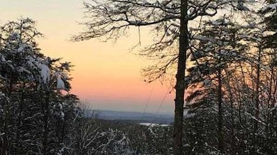 0 S Maple Dr unit 7689036, Jasper, GA 30143 - photo 3