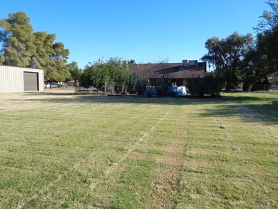 Backyard 2