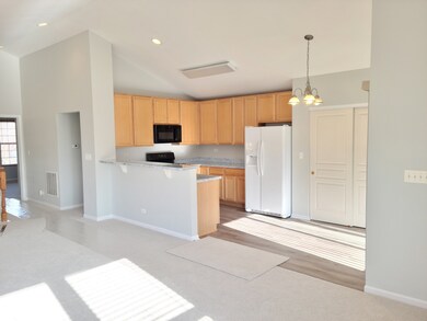 1001 Reserve Dr, Elgin, IL 60124 - photo 4