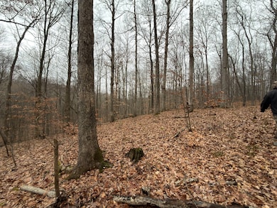 TBD1 E Willow Rd, Jackson Township, IN 47424 - photo 3