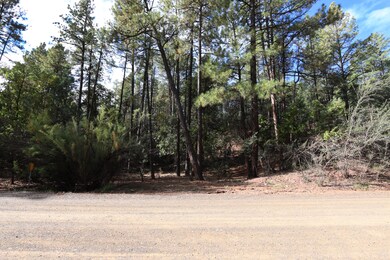 3586 N Pine View Dr, Pine, AZ 85544 - photo 5