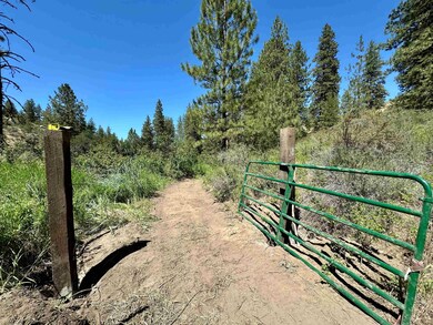 25656 Pine Cone Ct E, Lincoln, WA 99147 - photo 4