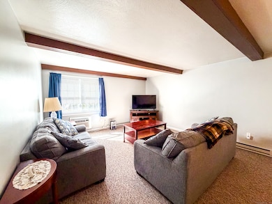 113 Horse Pond Rd unit B, Salem, CT 06420 - photo 2