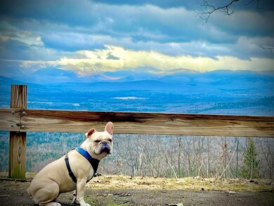 23 First St, Groveton, NH 03582 - photo 3