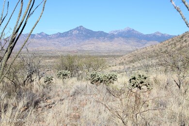 IMG_0548