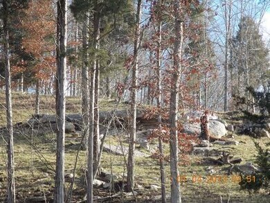 2114 Sulphur Springs Hollow Rd, Somerset, KY 42501 - photo 5