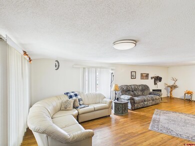 63645 Highway 491, Dove Creek, CO 81324 - photo 4