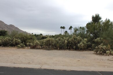 115 W Greenock Dr unit 204, Oro Valley, AZ 85737 - photo 5