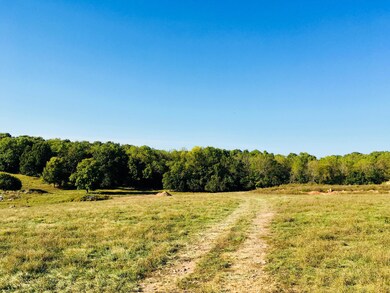 IMG-0815