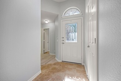 1323 Anna Palm Way, Round Rock, TX 78665 - photo 4