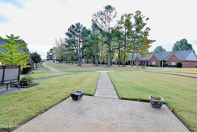 View from Front Patio