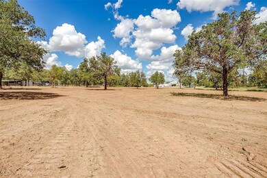 Lot 3 Garner-Adell, Weatherford, TX 76088 - photo 3