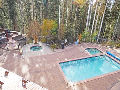 BCL 208 Patio View to Putdoor pools