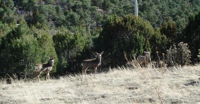 friendly neighbors