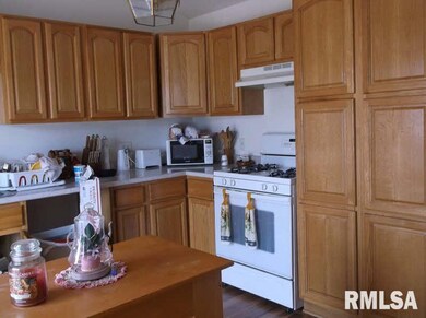 227 S Capitol St, Harrisburg, IL 62946 - photo 3