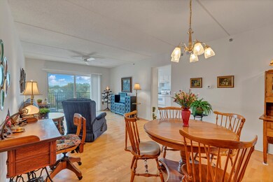 351 Town Place Cir unit 408, Buffalo Grove, IL 60089 - photo 6