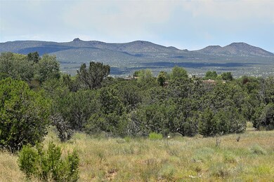 10 Cloudview Ct, Santa Fe, NM 87506 - photo 4