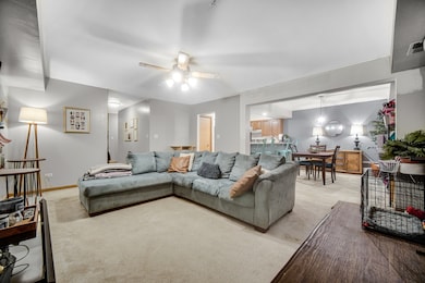 2034 Manico Ct unit 200, Crest Hill, IL 60403 - photo 3