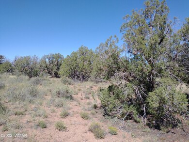 IMG_20220917_110921842